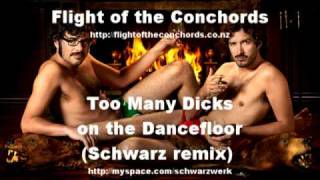 Flight of the Conchords: Too Many Dicks on the Dancefloor (Schwarz remix)