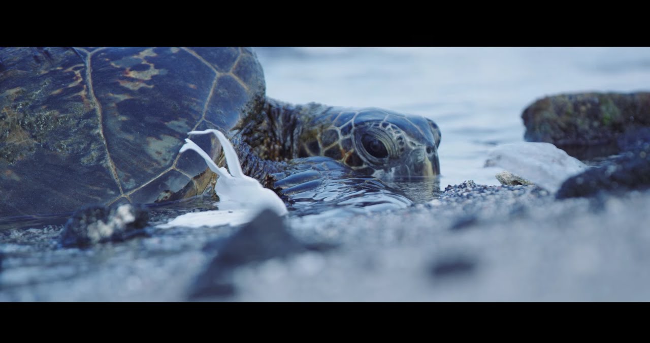 Plastic Pollution, Our Oceans, Our Future...