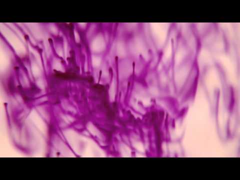 Arbitraire - Adapted Air (Official Video)