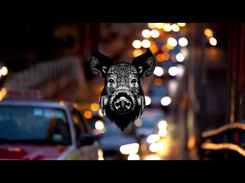 Jordan Tupper Night Hog live performance