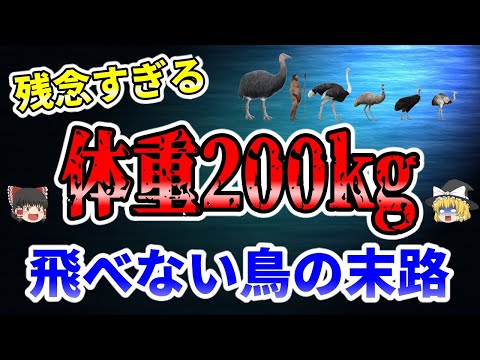 クラウガストルについて詳しく解説