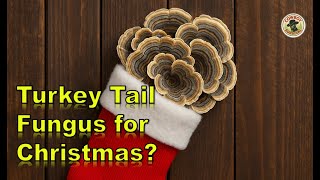 Survival Stocking Stuffers for the Outdoors!