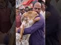 Heart Breaking Video Of Goat Crying And Hugging His Owner After Being Sold Goes Viral