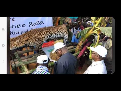 President Bio Tour Kono Agricultural Show in Koidu City.  Kono District. Sierra Leone.