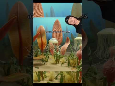 absolutely crazy to think about