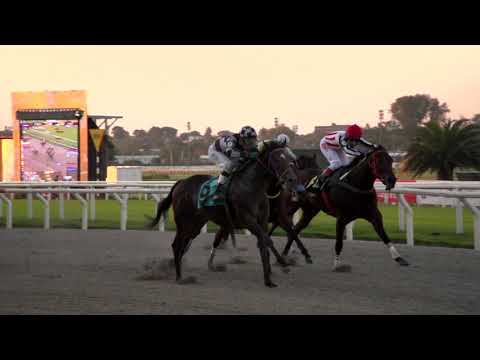 210502 c06 Rendija/ FRENCH GIRL