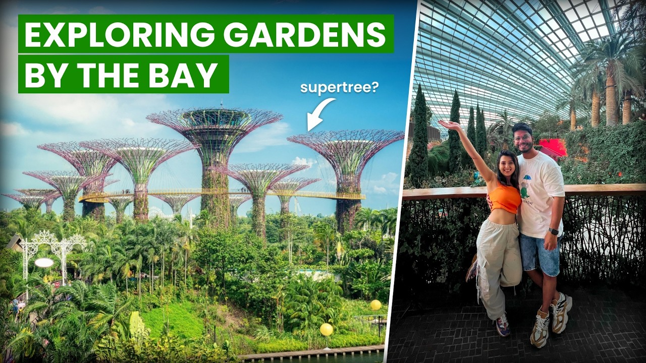 Discover the wonders of Gardens by the Bay with this comprehensive guide!