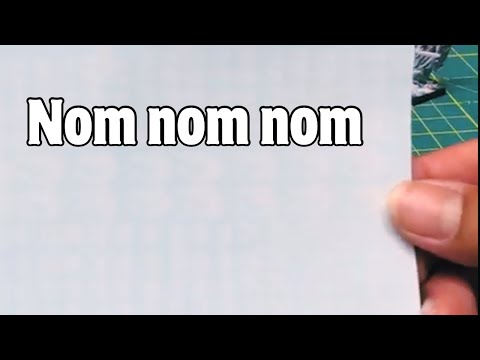 Carcharadons Transfer Sheet - Warhammer 40k Primaris Space Marines Review