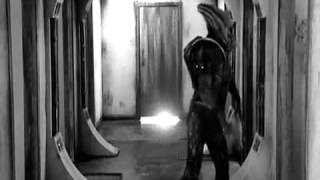 Doctor Who Doomsday Music