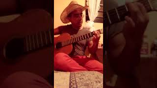 (Cover) &quot;Cosas y Palabras&quot; - Fernando Delgadillo