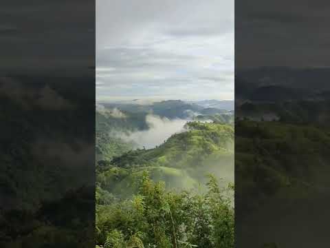 Keokradong has an elevation of 3172 feet. It's one of the highest places of Bangladesh.