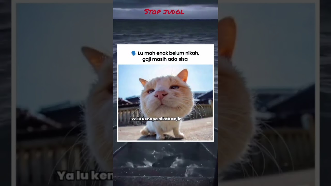 ngapain nikah kocak #memes #viral #funny