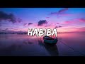 Habiba - Boef (Songtekst/Lyrics) 🎵