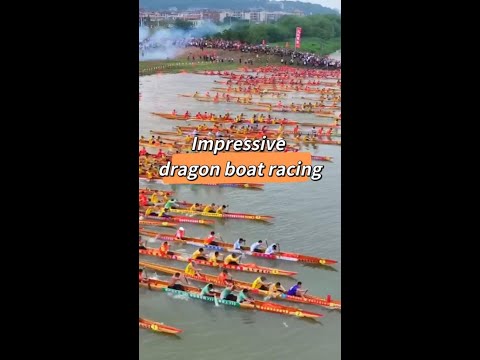 Impressive dragon boat racing in China's Foshan