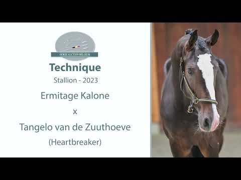 Technique video 1