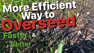 How to Pre-Germinate Grass Seed