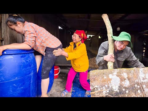 Farm renovation diary: nameless but fulfilling and happy tasks