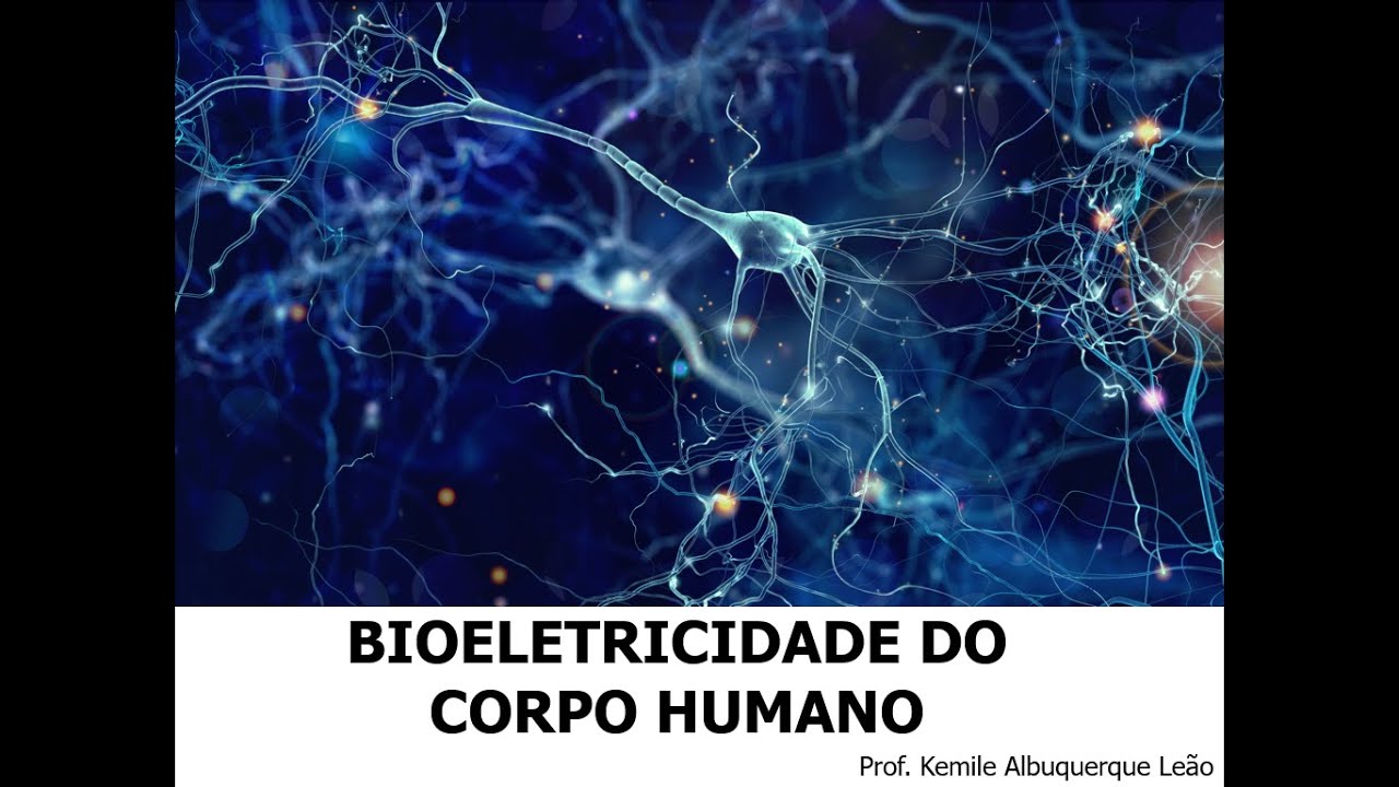 Bioletricidade do Corpo Humano