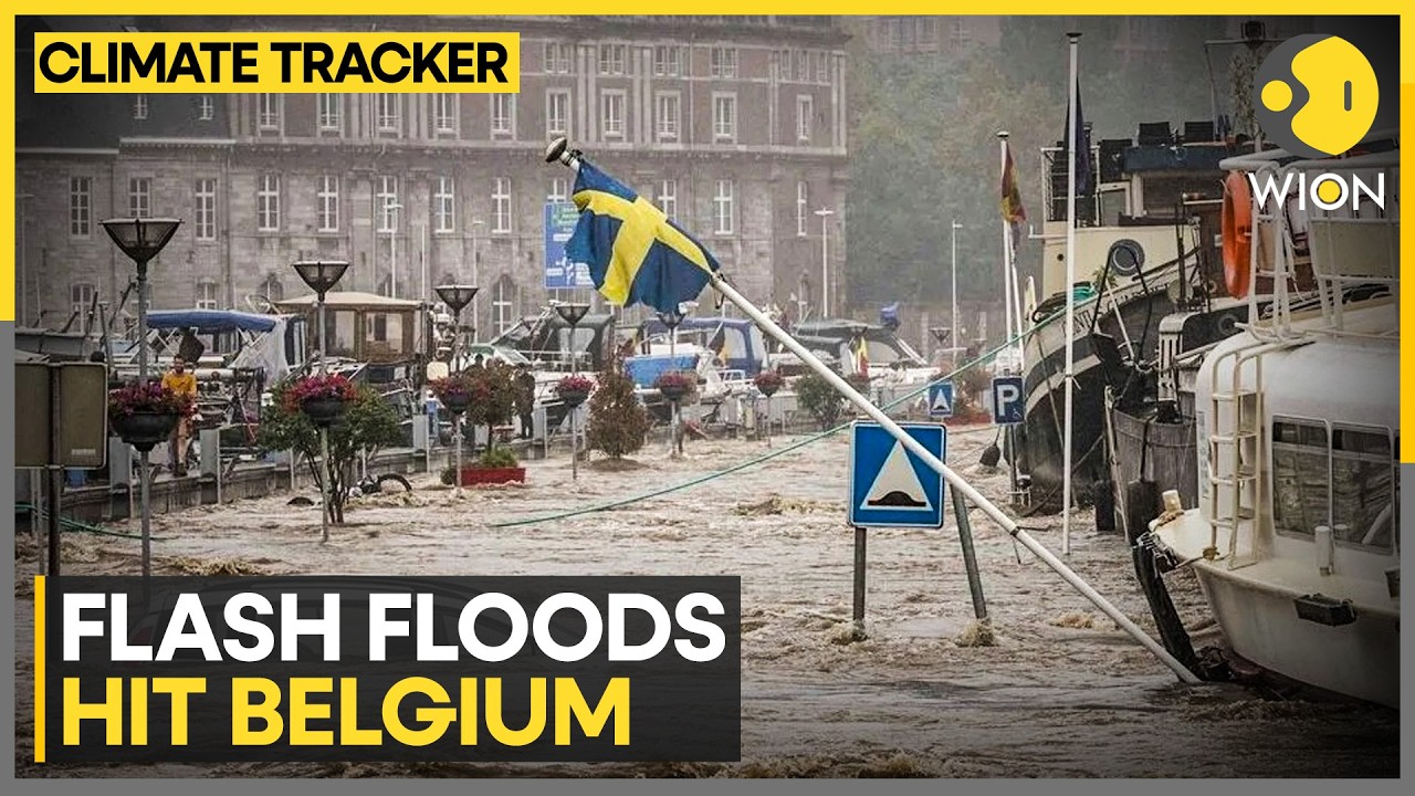 Belgium Floods: Flood-Hit Belgian Towns Assess Heavy Losses After Devastating Rains | WION News