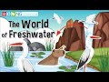 The World of Freshwater