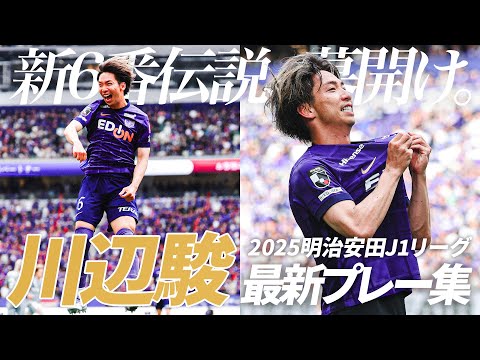 サンフレッチェ広島のチーム概要・注目選手を紹介!【ワクタカスポーツ 2025年版】 21 動画サムネイル