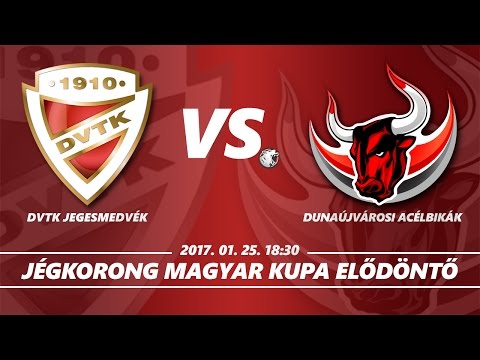 DVTK Jegesmedvék - Dunaújvárosi Acélbikák