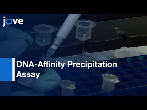Screening: Functional Non-Coding Genetic Variants By EMSA l Protocol Preview