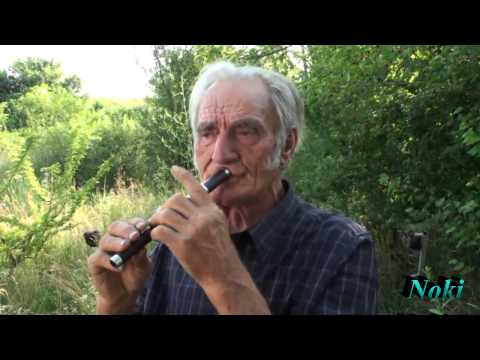 Najlepša vlaška kola na fruli - Petar Ljeparević -10.