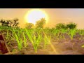 Punjabi song / Farmer whatsapp status/ video /jamidar