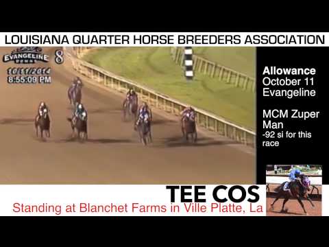2014 Evangeline Downs QH Report: Episode 4