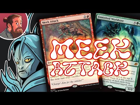 Meek Attack is Way Sillier Than You Think | Against the Odds