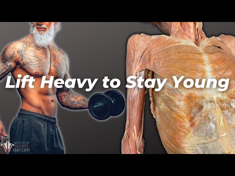 Simple Ways to Fight Sarcopenia (Muscle Loss Due to Aging)