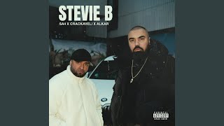Download lagu Stevie B mp3