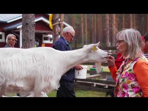 Piispala Pieneläinkoti Pihka