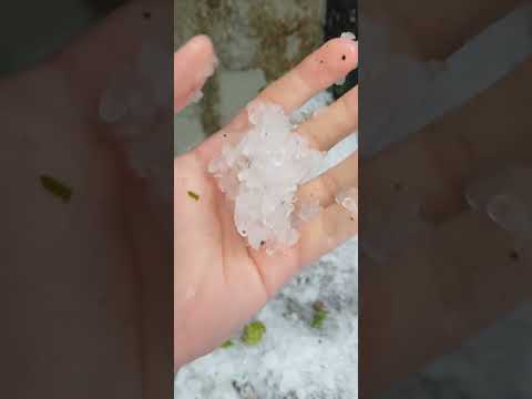 🥶 GRANIZO JAMAIS VISTO EM NOVA TRENTO SANTA CATARINA 🧊🥶