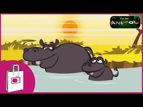 download lagu mp3 mp4 I Am A Hippopotamus, download lagu I Am A Hippopotamus gratis, unduh video klip Download I Am A Hippopotamus Mp3 dan Mp4 Viral Gratis