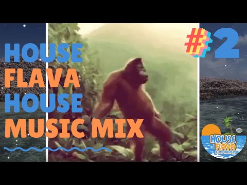 House Music Mix - House Flava Episode 2