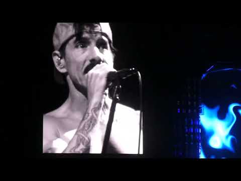 Red Hot Chili Peppers - Aquatic Mouth Dance / Otherside - Firenze Rocks 2022