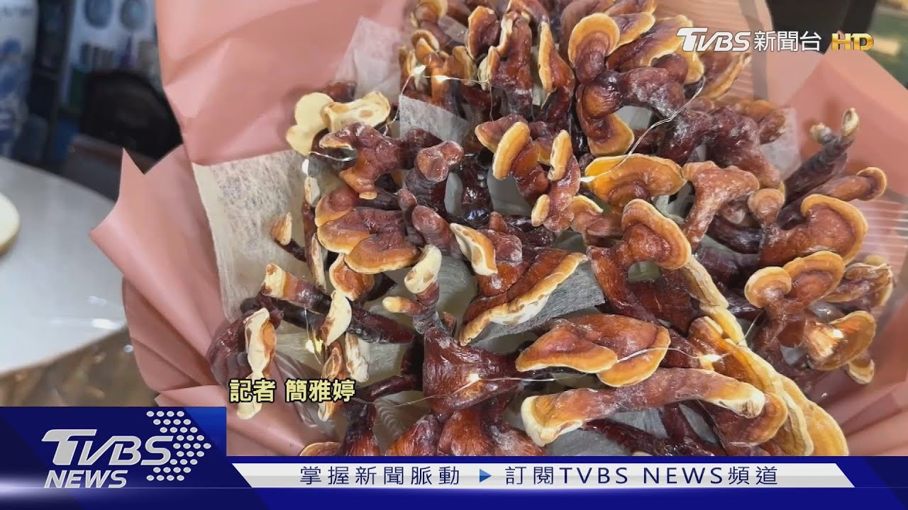 養生行!進補「5靈芝」 民宿砸千萬修「石頭屋」