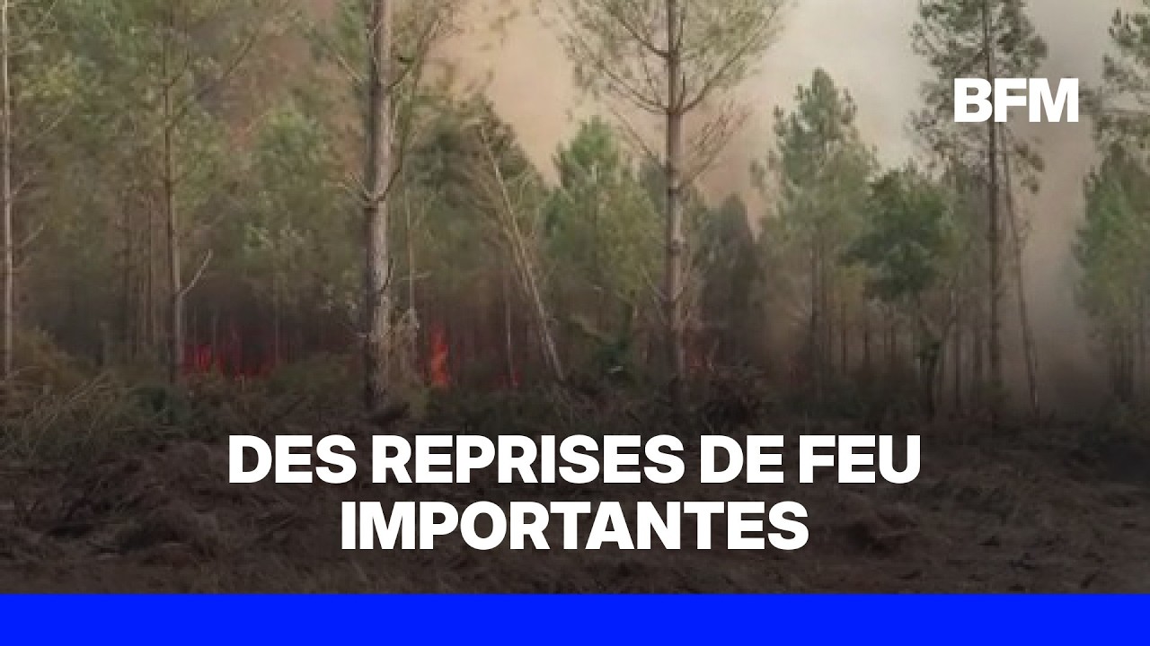 Incendie en Gironde: à Blagon, une reprise de feu est en cours