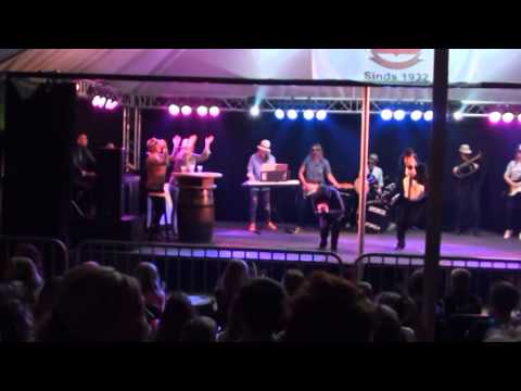 Playbackshow 2015 Brakel - De Harries -