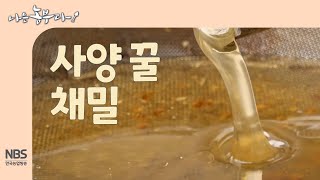 [나는농부다 268회] 사양꿀 채밀