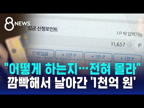 "어떻게 하는지…전혀 몰라"…깜빡해서 날아간 '1천억 원' / SBS 8뉴스