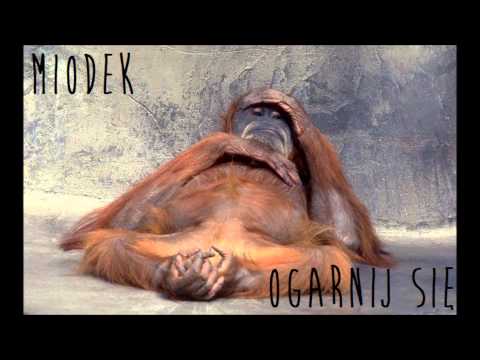 Miodek - Ogarnij się