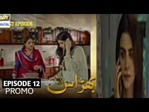 Bharaas episode 12 promo || Bharaas episode 12 teaser || Maryum Ayesha official