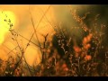 Mree - Into The Well 
