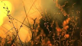 Mree - Into The Well