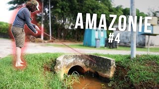 Des poissons super agressifs dans un tuyau !