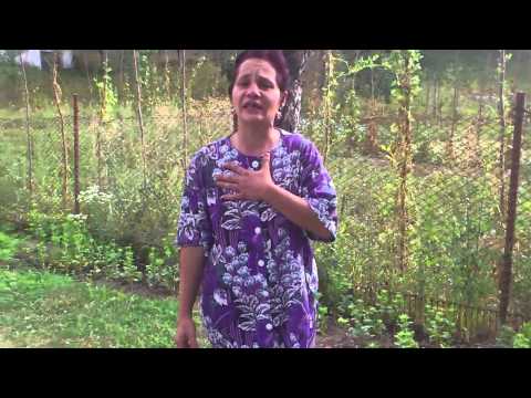 Nicoleta voica din ideciu de sus