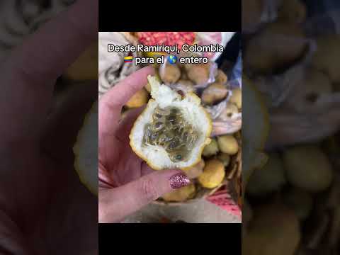 #ramiriquí #colombianosenelmundo #colombia   #boyaca #boyacacolombia #ramiriqui #ramiriquiboyaca